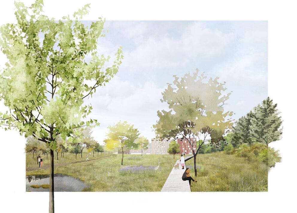 Josaphat: vue sur le bioparc. © perspective.brussels / BUUR